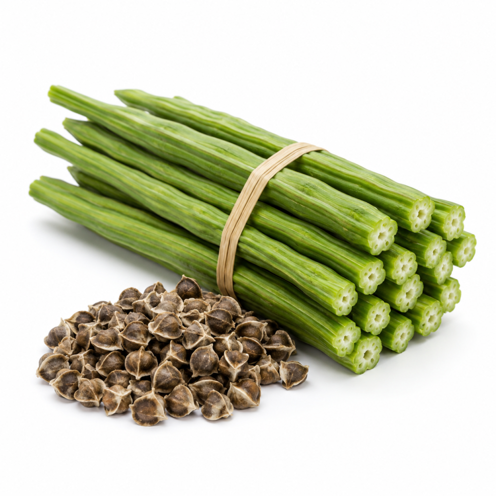 Chadi Drumstick Seeds – Moringa, Long Pod, OP for Home Gardens | 25 Seeds