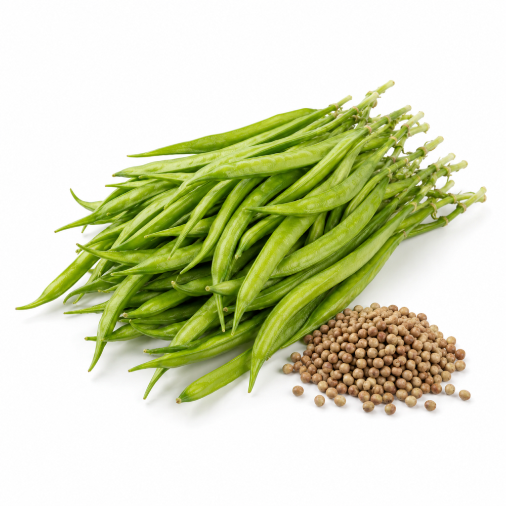 Cluster Bean Seeds – Guar for Home Vegetable Gardens | 60 Seeds