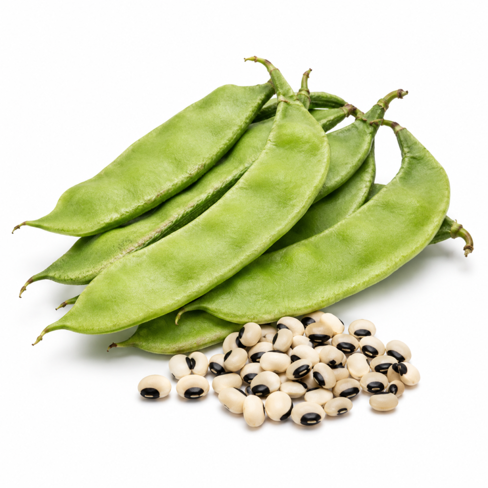 Dolichos Bean Seeds – Mochai, Light Green, OP | Home Garden Seeds