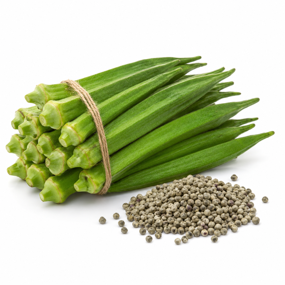 Green Okra Seeds – Vendakkai for Fresh Home Vegetable Gardens | 60 Seeds