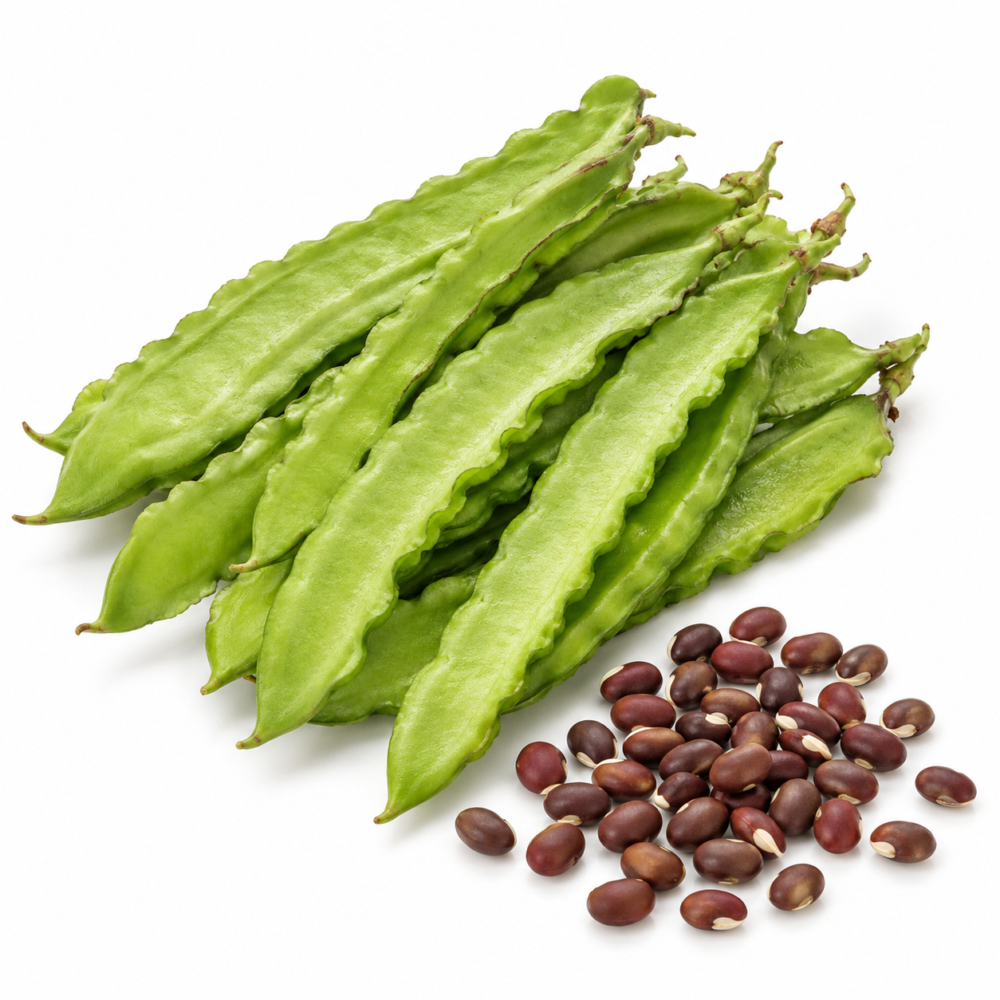 Kozhi Avarai Seeds – Green Medium Long, OP for Home Gardens | 25 Seeds