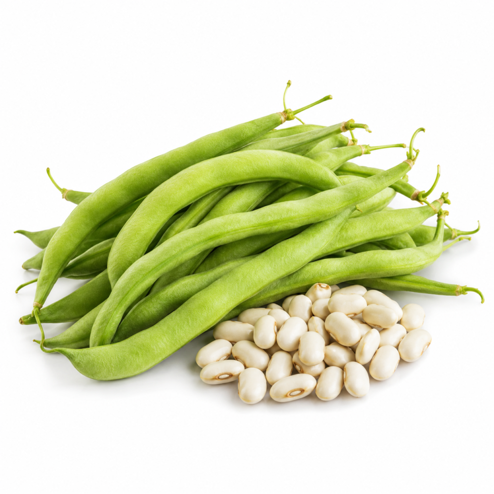French Bean Seeds – Light Green, OP for Home Vegetable Gardens | 25 Seeds
